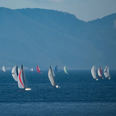 ⛵LORYMA CUP  